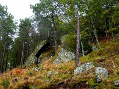 Reserva Natural del Valle de Iruelas;agencia de viajes en madrid viajes de fin de año cerezos en fl